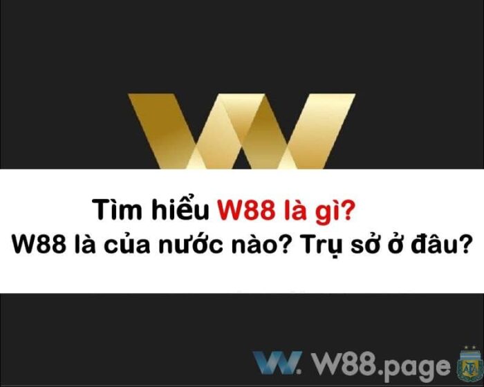 W88 là gì? 9