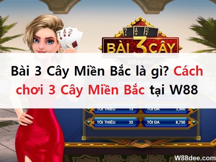 bai-3-cay-mien-bac-w88-5