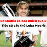 Luka Modric có bao nhiêu cúp C1? Tiểu sử cầu thủ Luka Modric
